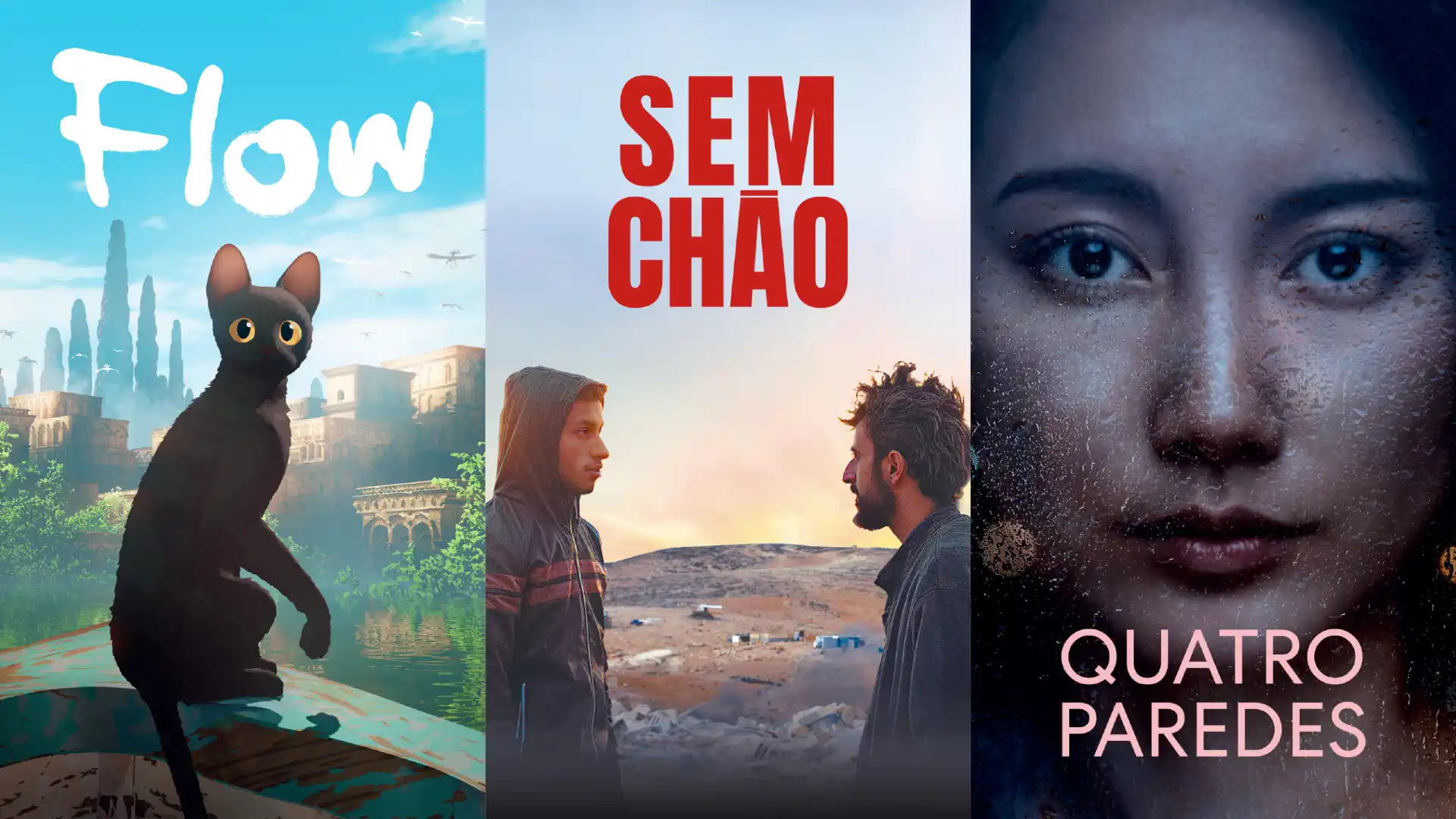 Flow, Sem Chão (No Other Land) e Quatro Paredes (Black Box Diaries) estarão no catálogo do Filmelier+