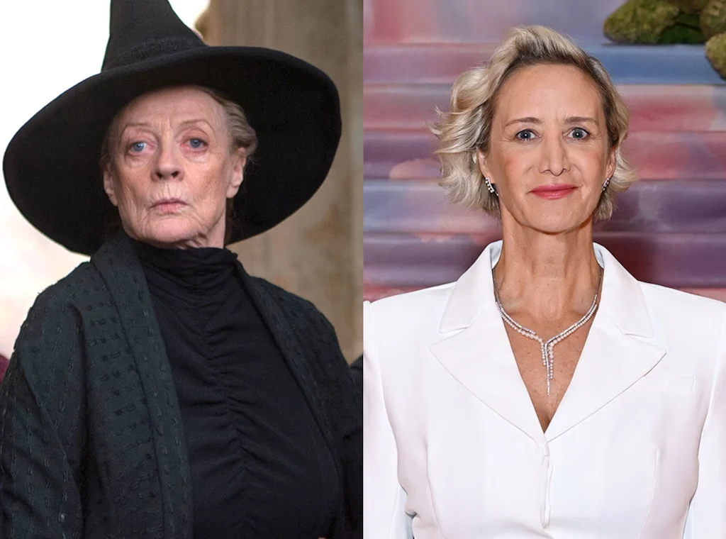 Janet McTeer will be Minerva McGonagall in the HBO series, a role played by Maggie Smith in the films