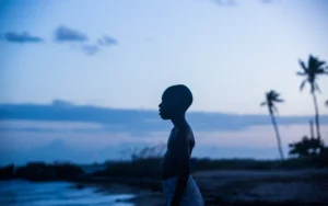 Filme Moonlight da produtora A24 (Créditos: TMDB)