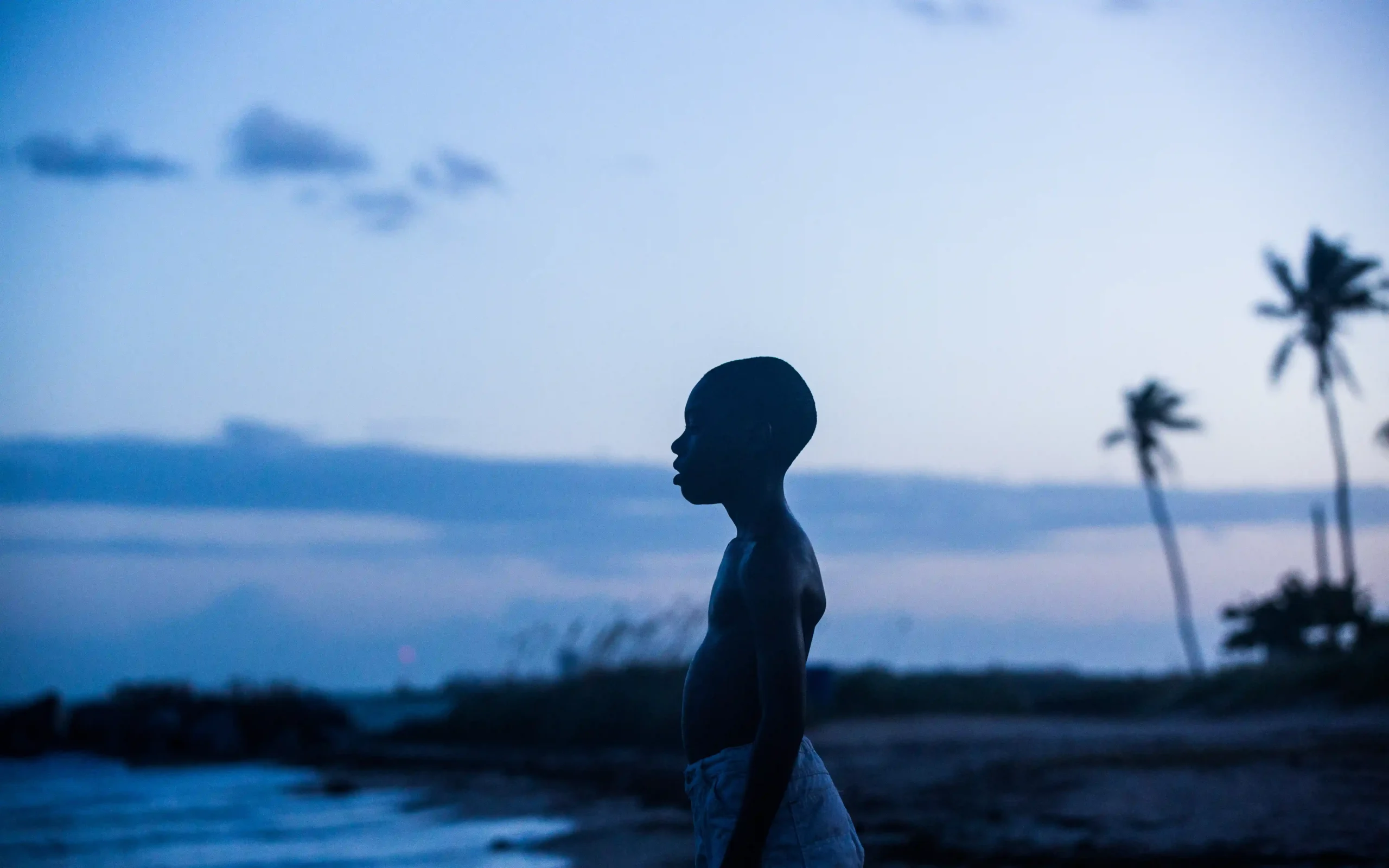 Filme Moonlight da produtora A24 (Créditos: TMDB)