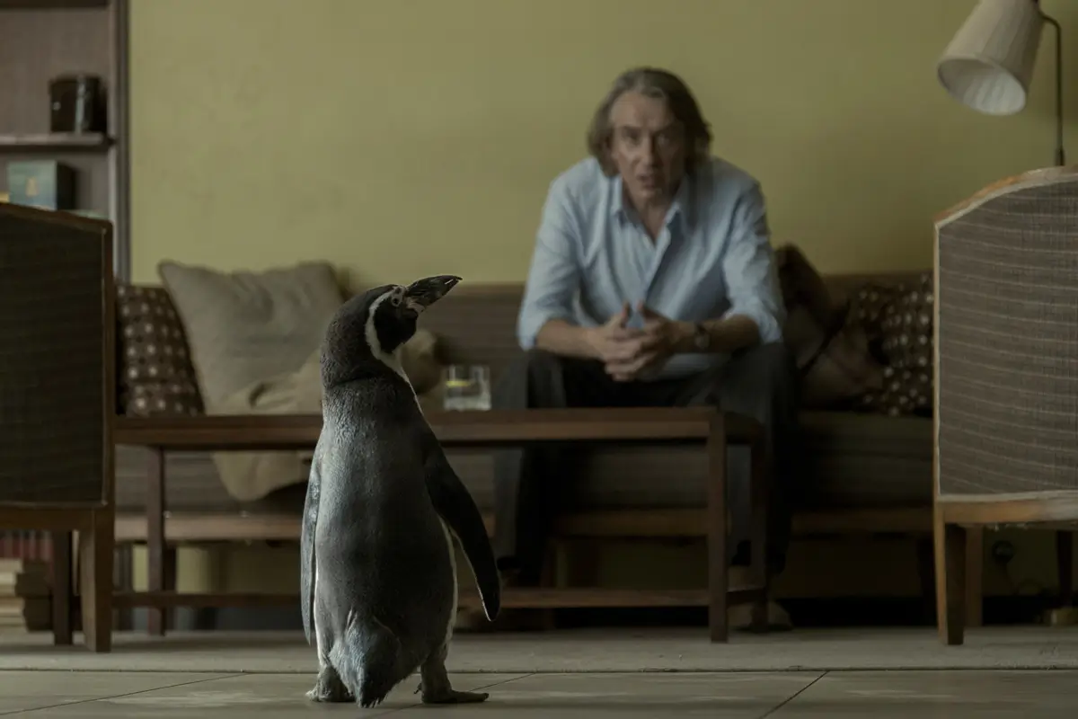 Steve Coogan en 'Lecciones de un pingüino' ('The Penguin Lessons')