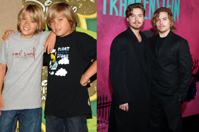 The Sprouse Brothers in contrasting roles: family comedy and adult dramas