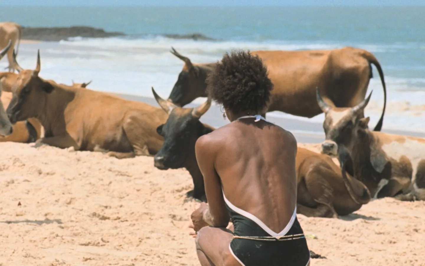 Filme 'O Riso e a Faca' do português Pedro Pinho. (Crédito TMDB)