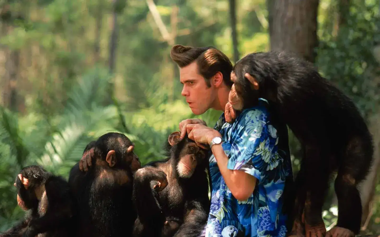 Jim Carrey’s portrayal of 'Ace Ventura'. (Credits: IMDB)
