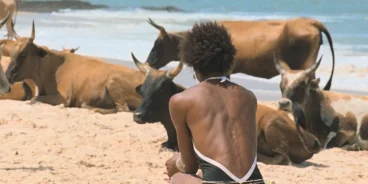 Filme 'O Riso e a Faca' do português Pedro Pinho. (Crédito TMDB)