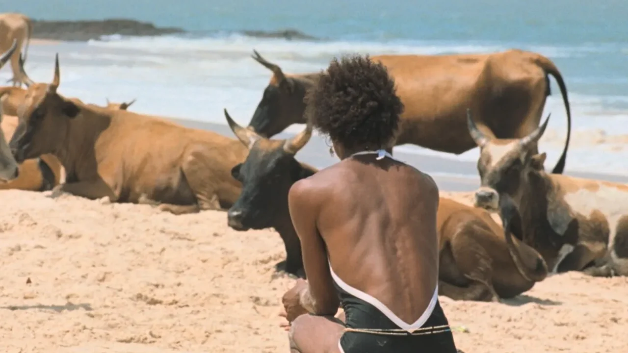 Filme 'O Riso e a Faca' do português Pedro Pinho. (Crédito TMDB)