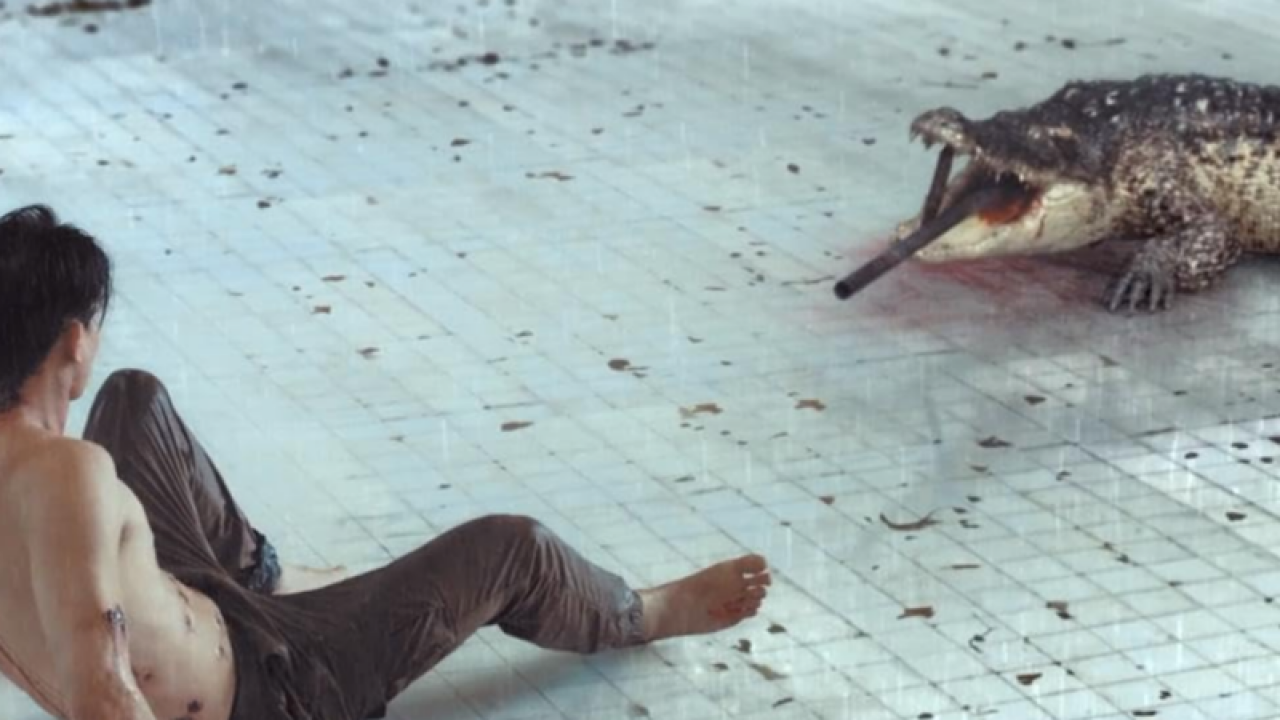 Imagem do filme tailandês A Piscina (The Pool, 2018), dirigido por Ping Lumpraploeng. A história acompanha um homem preso em uma piscina vazia com um crocodilo mortal. (Créditos: IMDB)